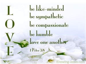 1 Peter 3:8